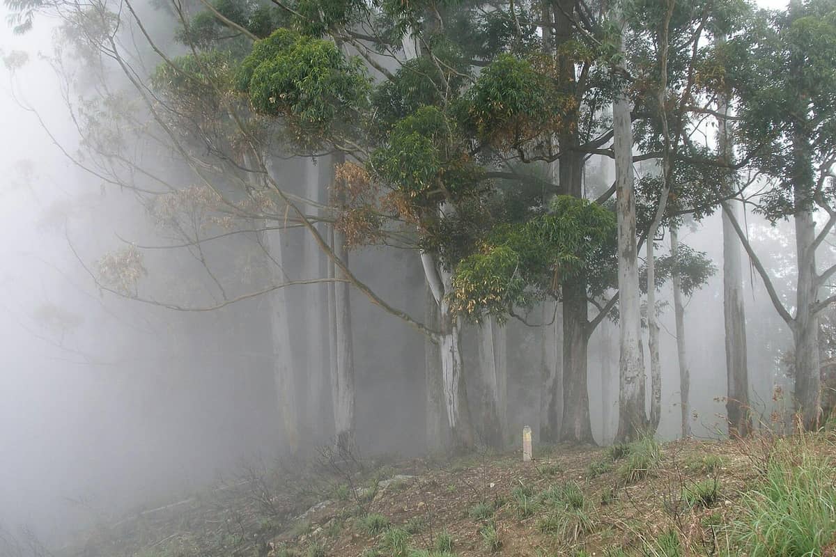 December in Sri Lanka